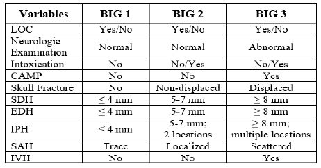 mbig|brain injury guidelines big 1.